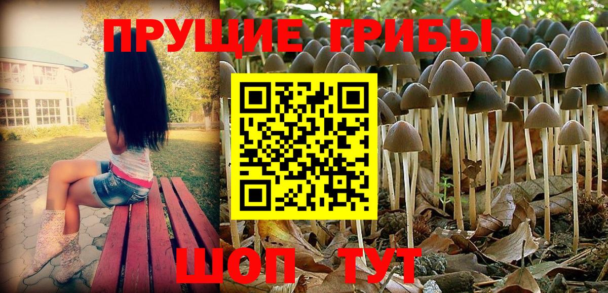 Псилоцибиновые грибы прущие грибы  Вход с VPN  Усть-Илимск 